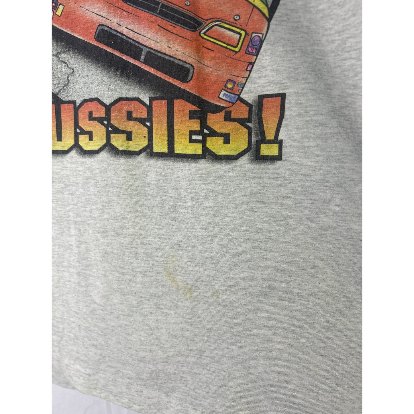 Fruit of the Loom BRAKES ARE FOR PUSSIES! Graphic Print Gray Shirt Mens Size XL