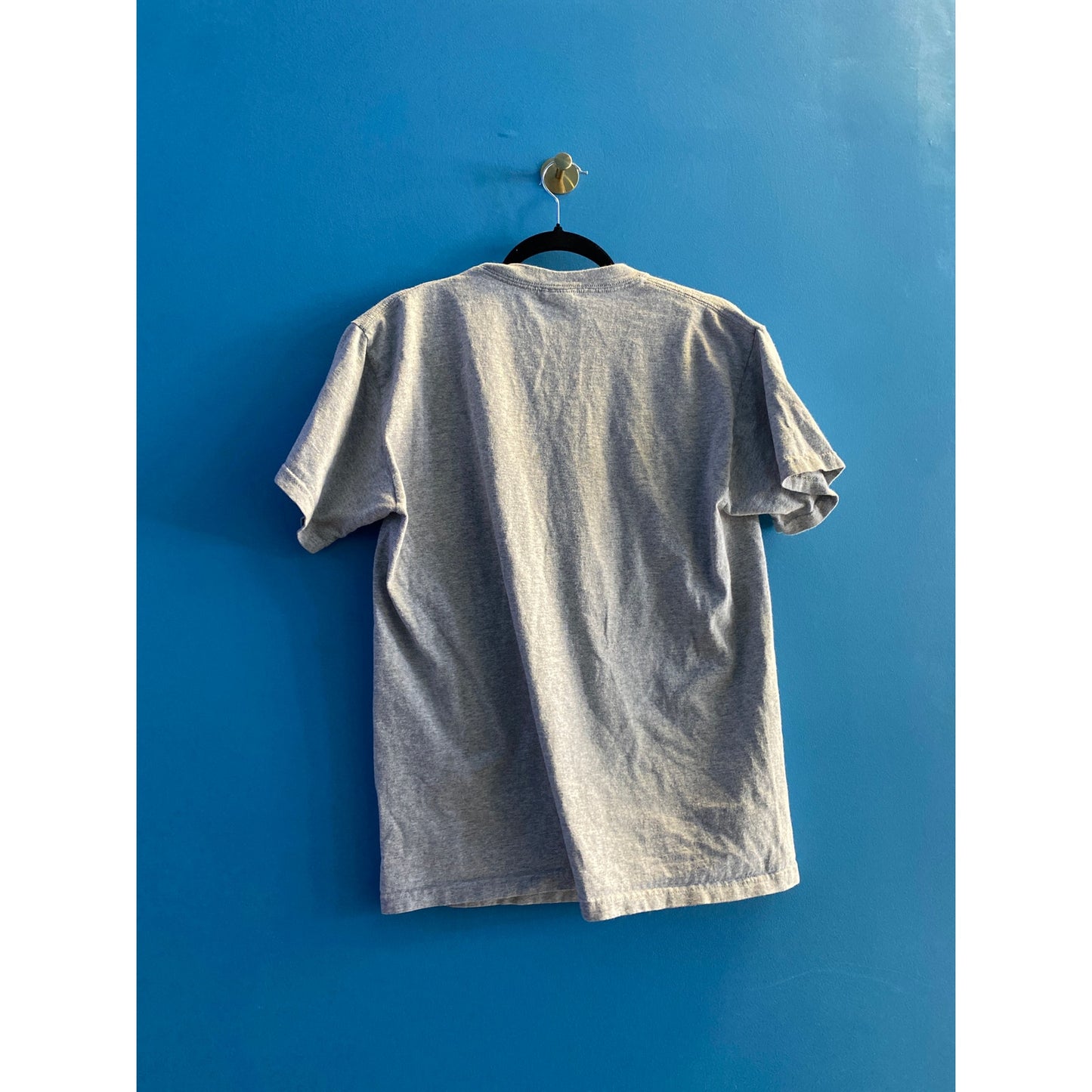 DELTA Pro Weight Peanuts Charlie Brown Graphic T-Shirt Adult Size Medium