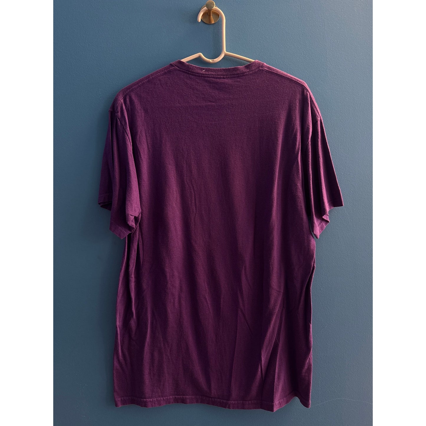 Y2K Gildan Native American Indian Woman & Wolf Purple Graphic Tee Men's M-L