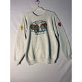 Vintage 80s Fruit of the Loom IU Copper Bowl Arizona Dominos Gray Crew Sweater Size XL