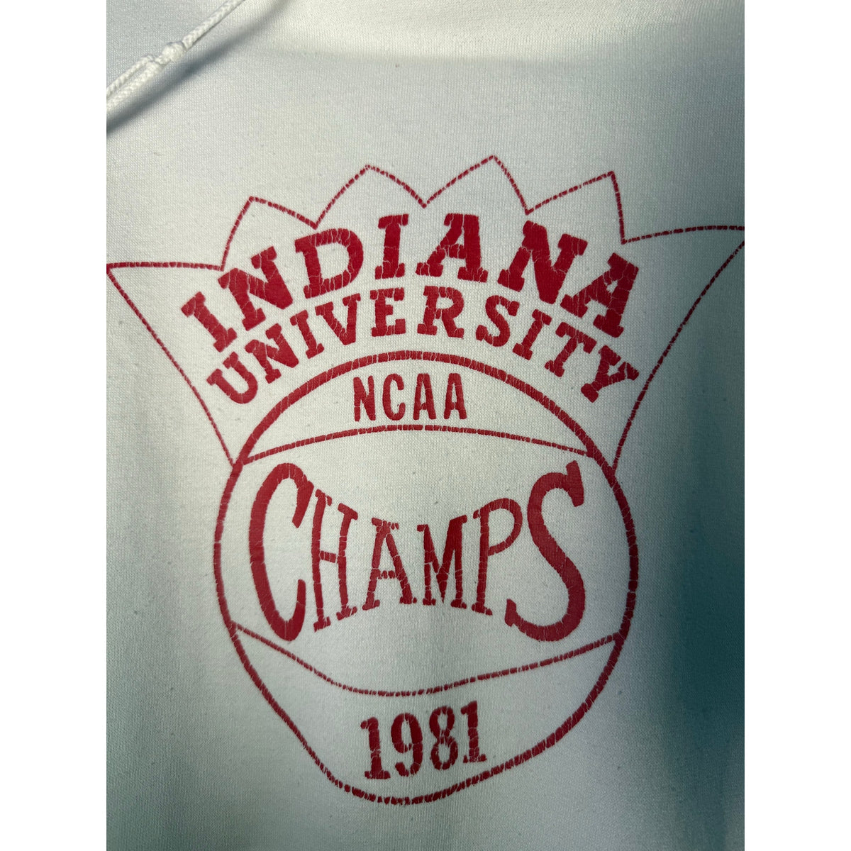 NCAA 81 champ hoodie