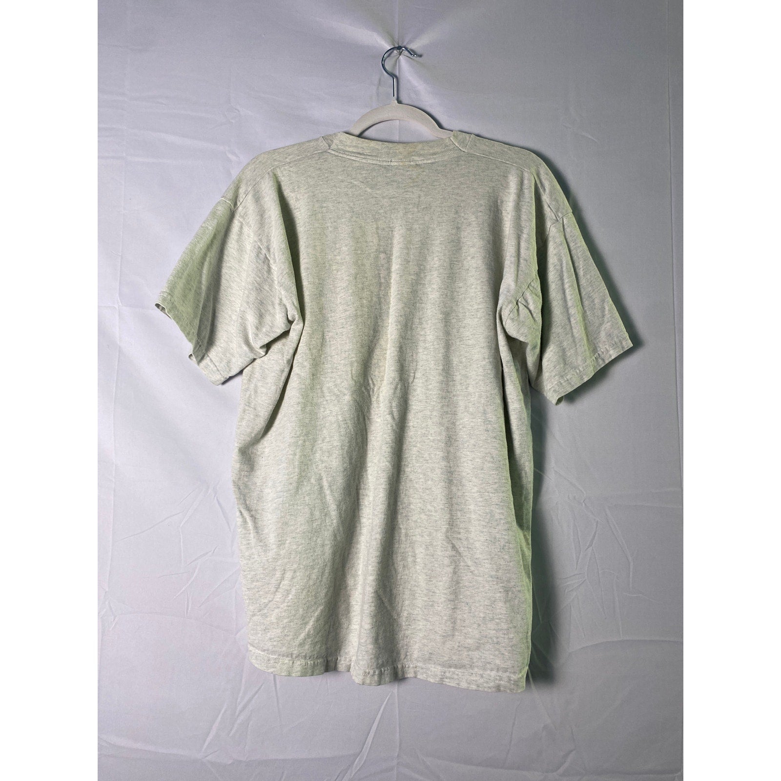 Fruit of the Loom Isaiah 40:31 WANNA FLY? Graphic Print Gray T-shirt Men's XL