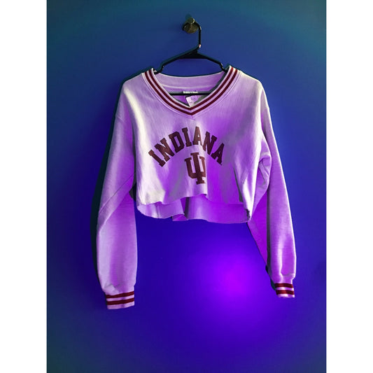Champion IU INDIANA Hoosiers V-neck Cropped Gray Sweatshirt Women's Size Small