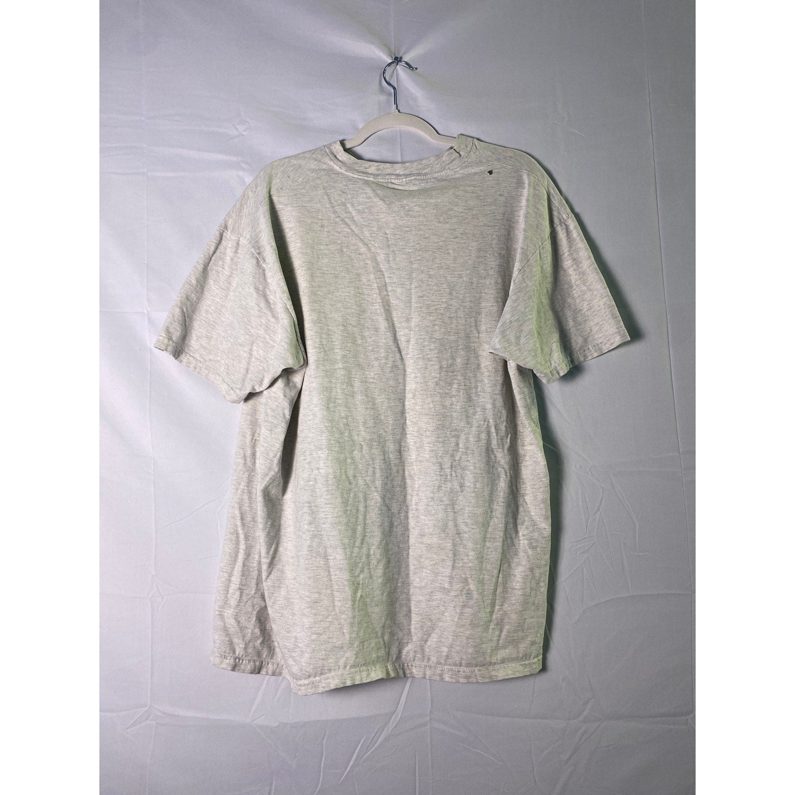 Hanes DISNEYLAND Magic Music Days Gray T-shirt Women's Size XL