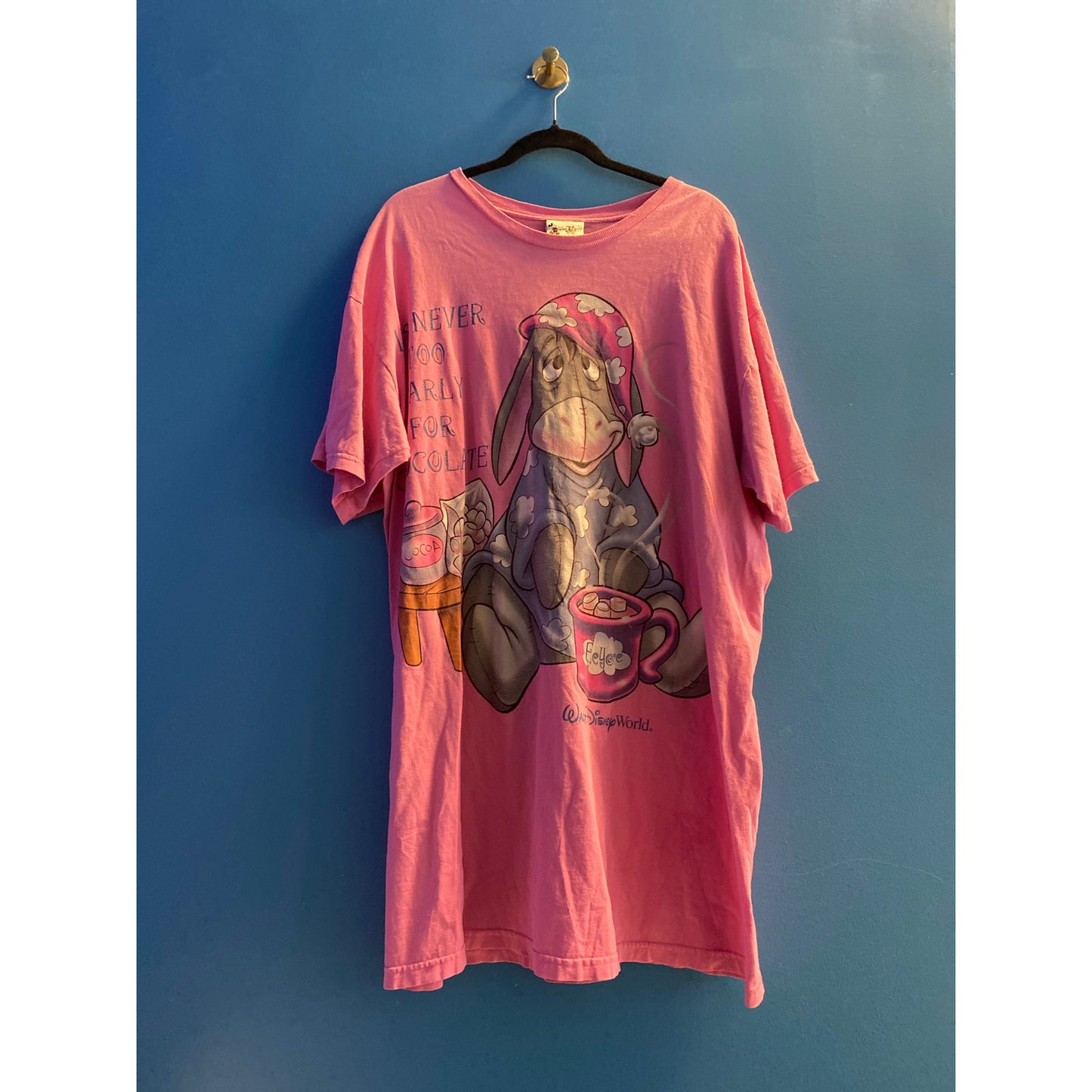 Walt Disney World Pink Sleepwear Shirt Dress Eeyore Hot Cocoa Women's One Size