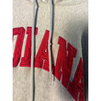 Vintage IU INDIANA Embroidered Gray Heavy Hoodie Sweatshirt Men's XL Tall