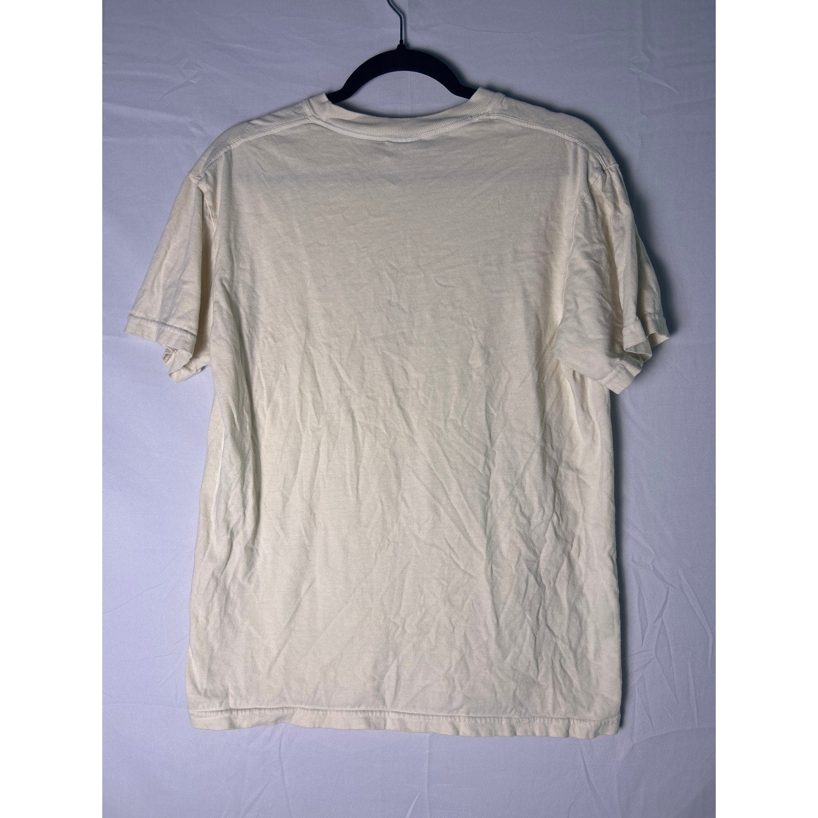 Comfort Colors ORCHARD The Eras Tour Graphic Print Shirt Women's Size Medium