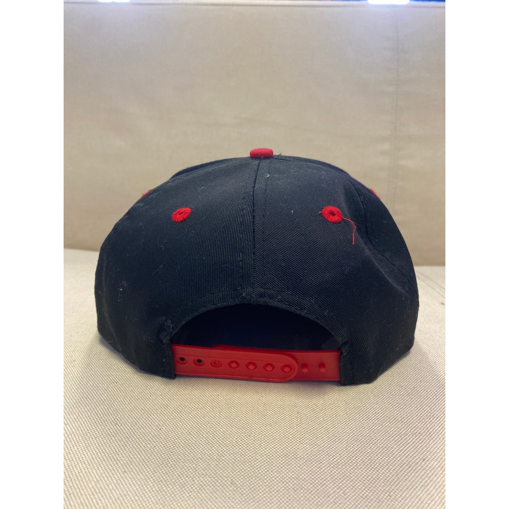 Vintage Looney Tunes Racing NASCAR Tazmanian Devil Embroidered Red Black Hat
