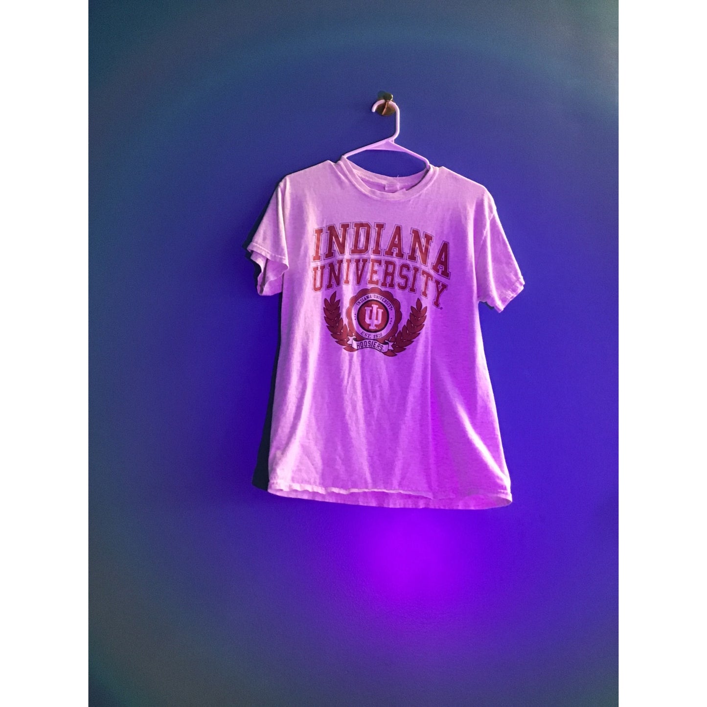 Gildan IU Indiana University Hoosiers Arch Print Gray Shirt Adult Size Medium