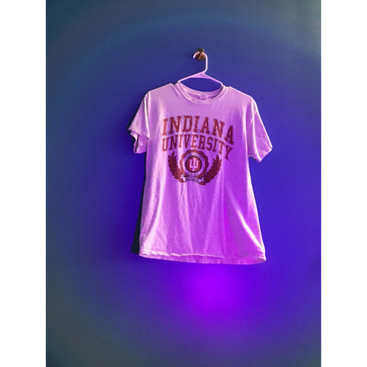 Gildan IU Indiana University Hoosiers Arch Print Gray Shirt Adult Size Medium
