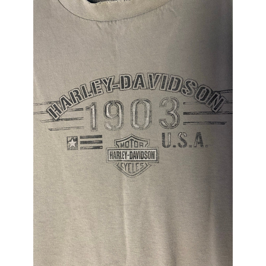 Harley Davidson 1903 Chattahoochee Columbus, CA Graphic Print Gray Shirt L/XL
