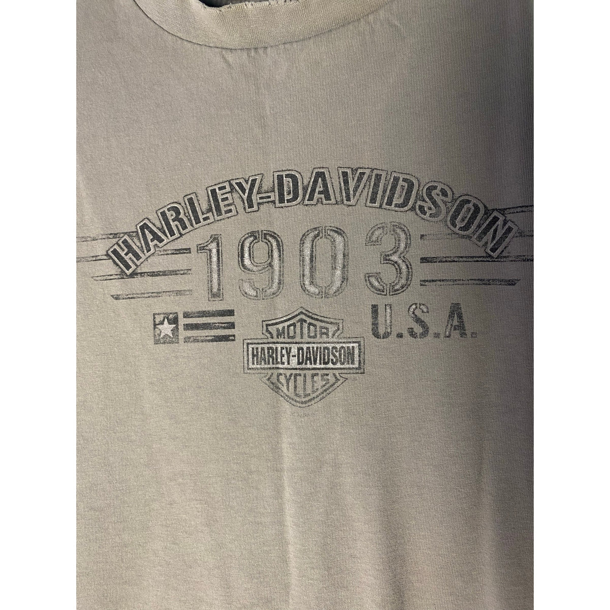 Harley Davidson 1903 Chattahoochee Columbus, CA Graphic Print Gray Shirt L/XL