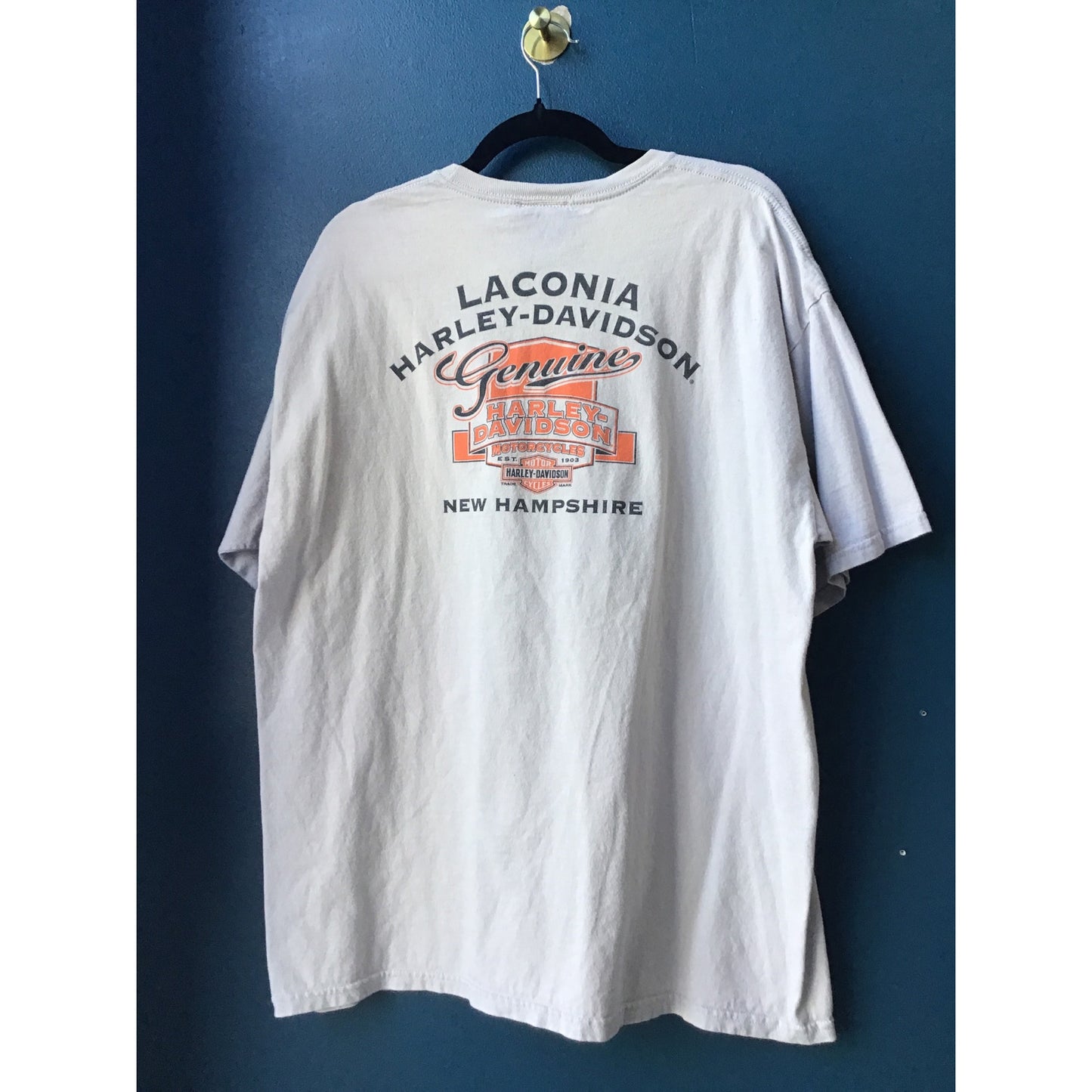 Y2K Harley Davidson Motorcycles Biker Girl Print Gray T-shirt Men's Size XL