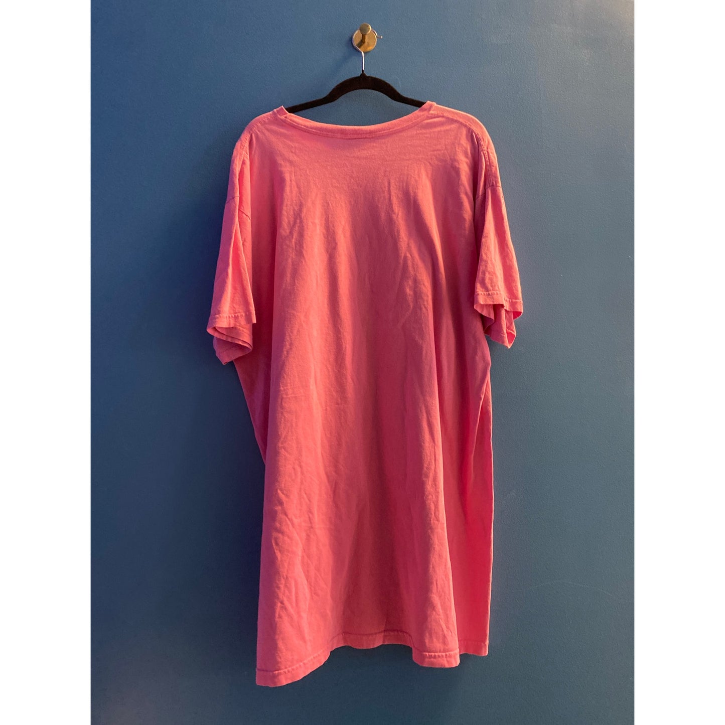 Walt Disney World Pink Sleepwear Shirt Dress Eeyore Hot Cocoa Women's One Size