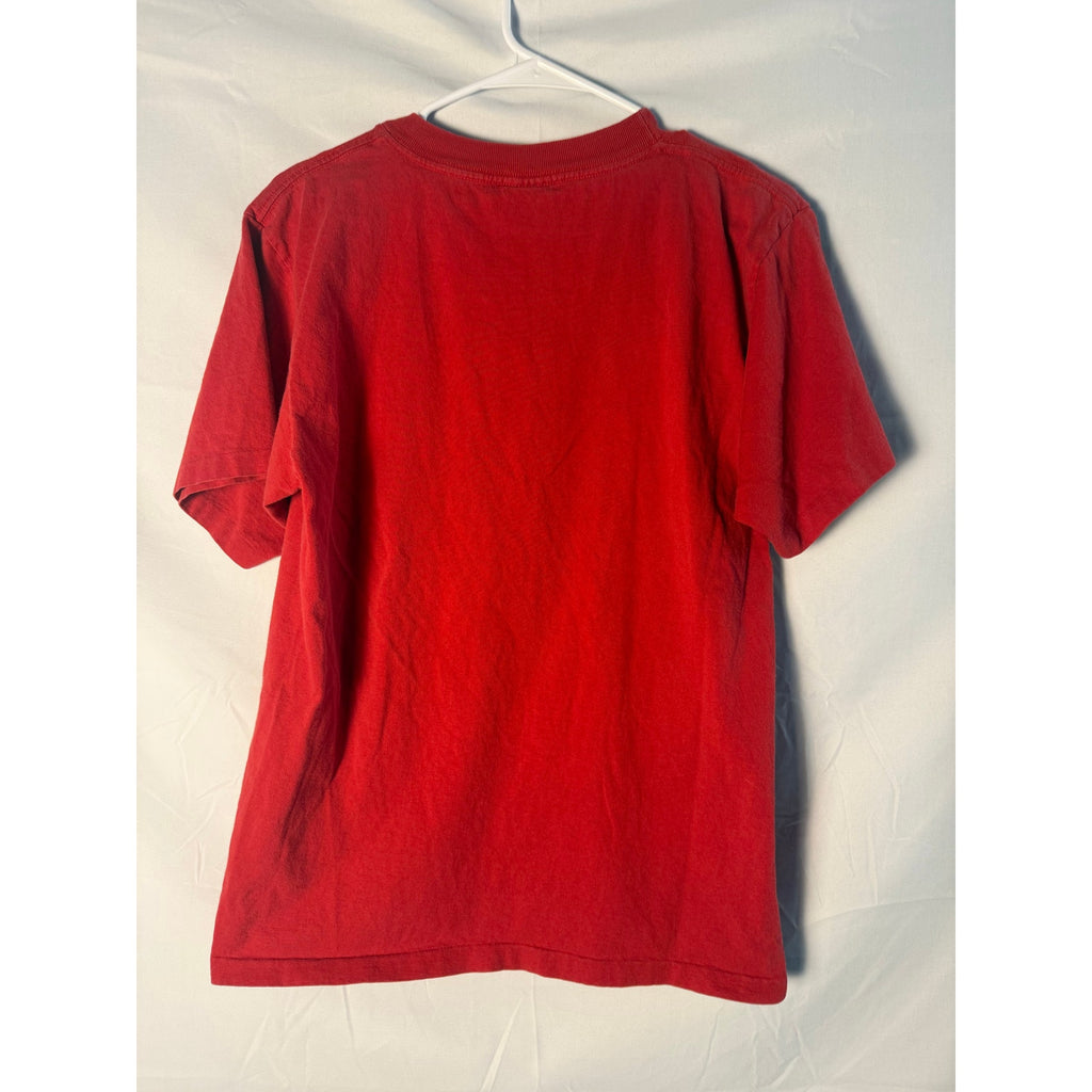 Vintage Dave Matthew’s Tshirt